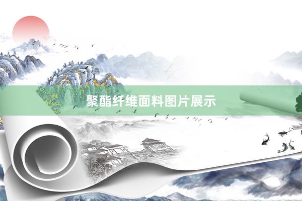 聚酯纤维面料图片展示