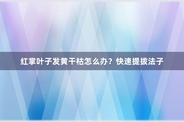 红掌叶子发黄干枯怎么办？快速提拔法子