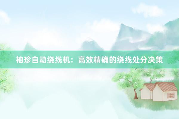 袖珍自动绕线机：高效精确的绕线处分决策
