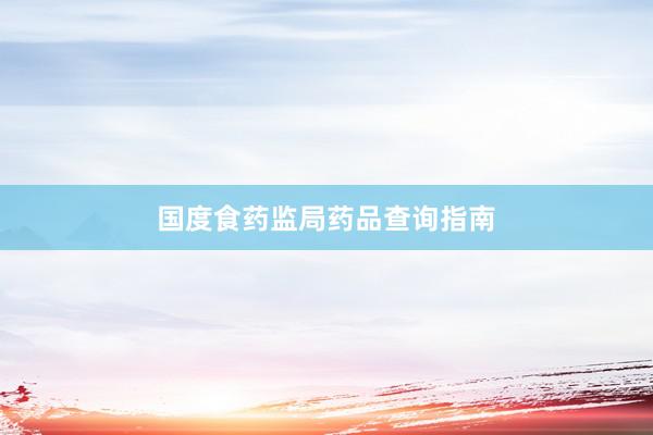 国度食药监局药品查询指南